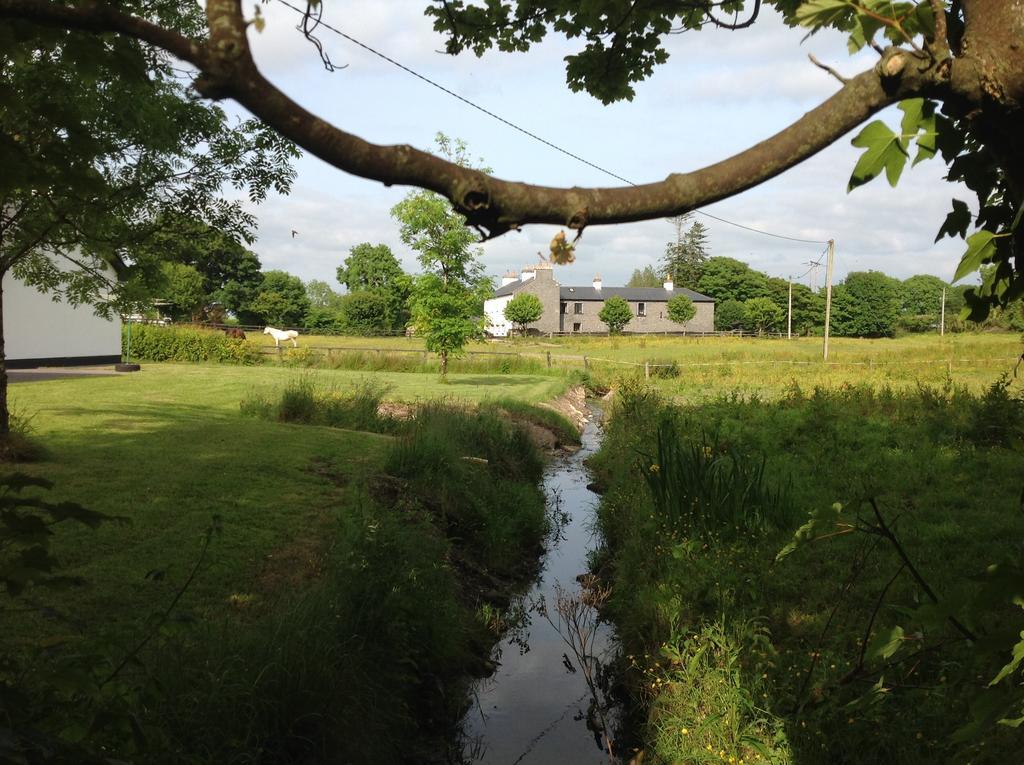 Cartron House Bed and Breakfast Ballinakill  Exterior foto